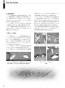 実装技術7月号2013年特別編集版